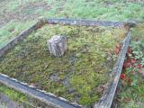 image of grave number 606357